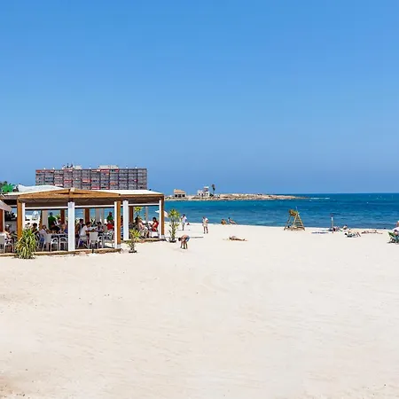 Caravela * Торевьиа